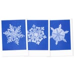 Riso Winter postcard set Snowflake