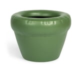 Pierre planter Green