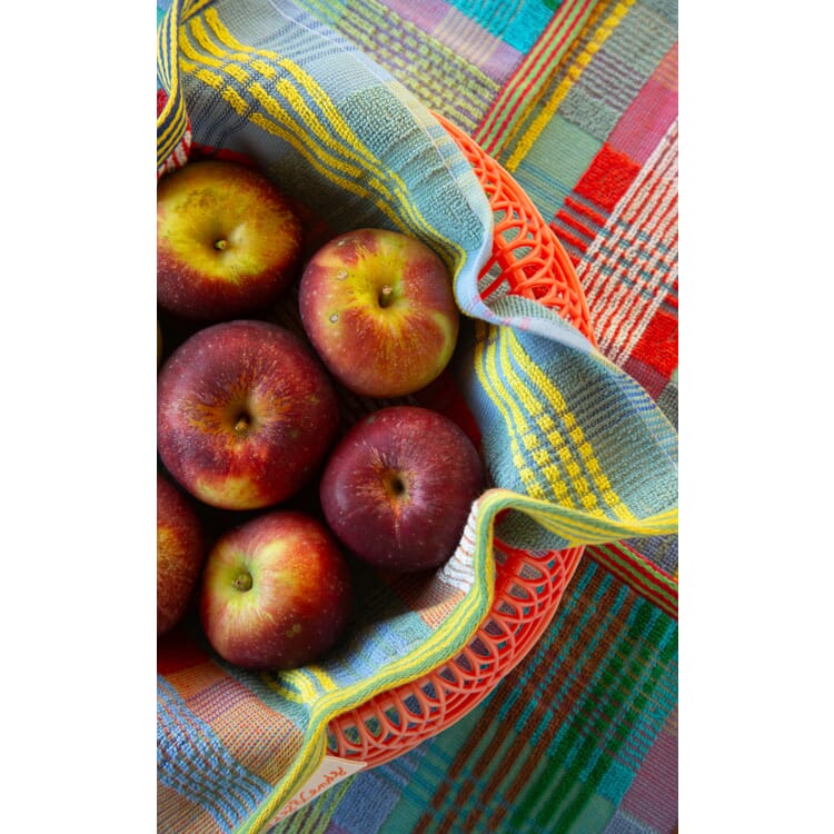 Odds & Ends dishcloth