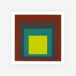 Druck Josef Albers I-S k