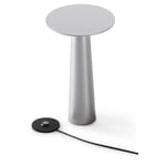 Lix 2.0 universal light Silver color