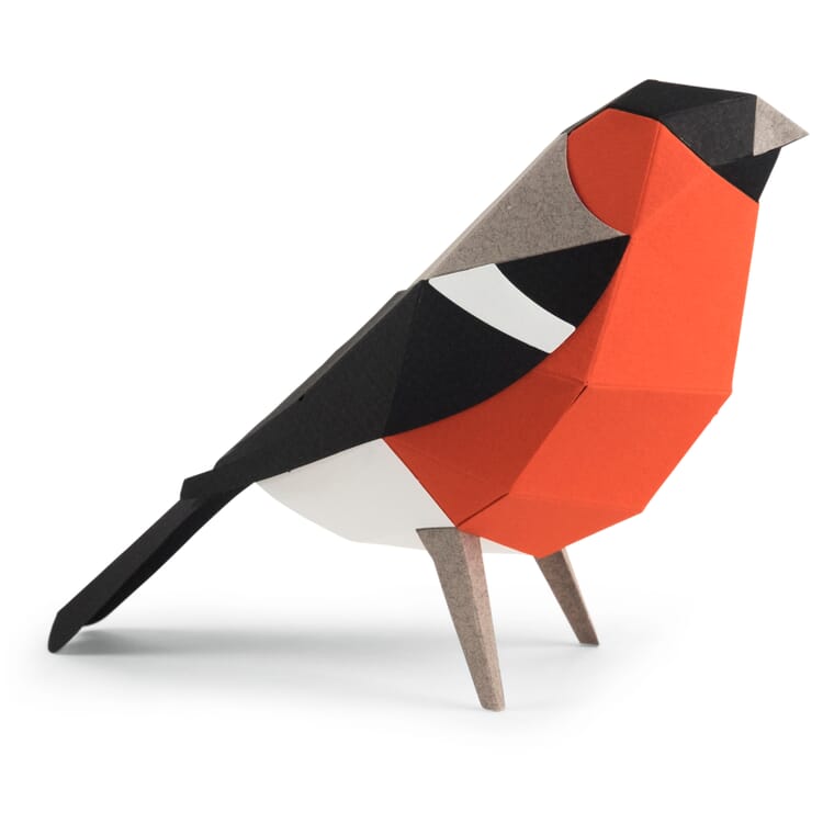 3D paper model birds, Pyrrhula Pyrrhula