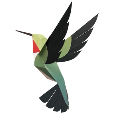 3D paper model birds, Selasphorus Platycercus | Manufactum