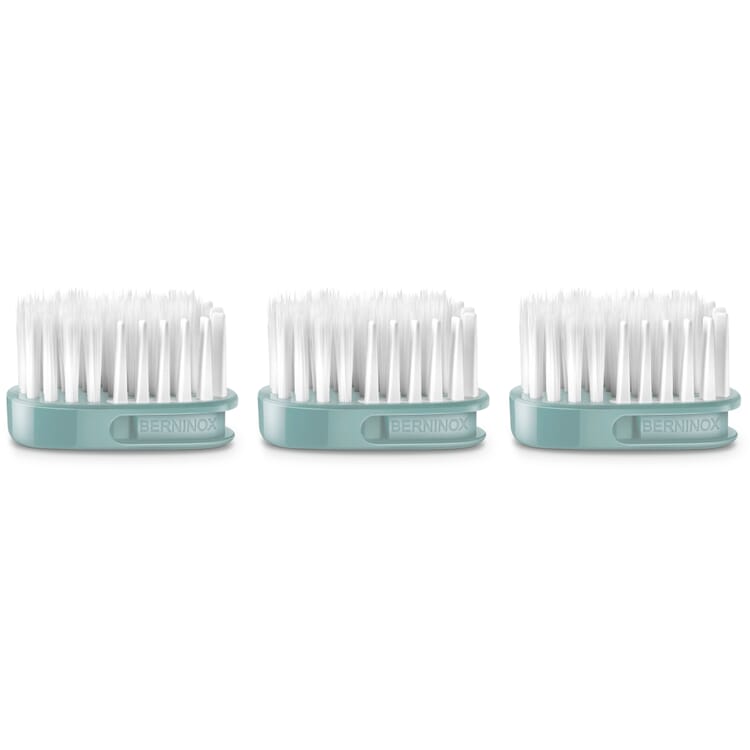 Replacement brush head for the Berninox 316 toothbrush