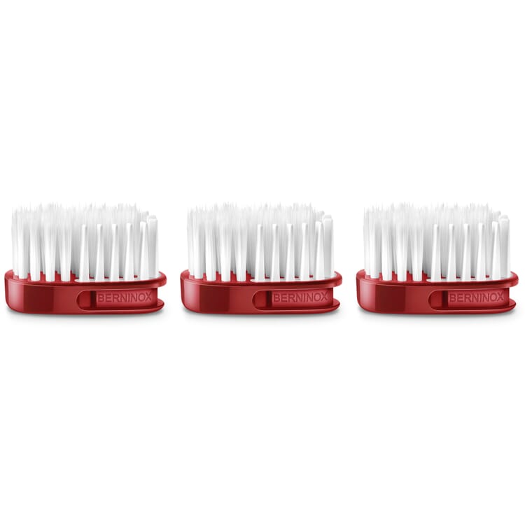 Replacement brush head for Berninox 316 toothbrush, Medium