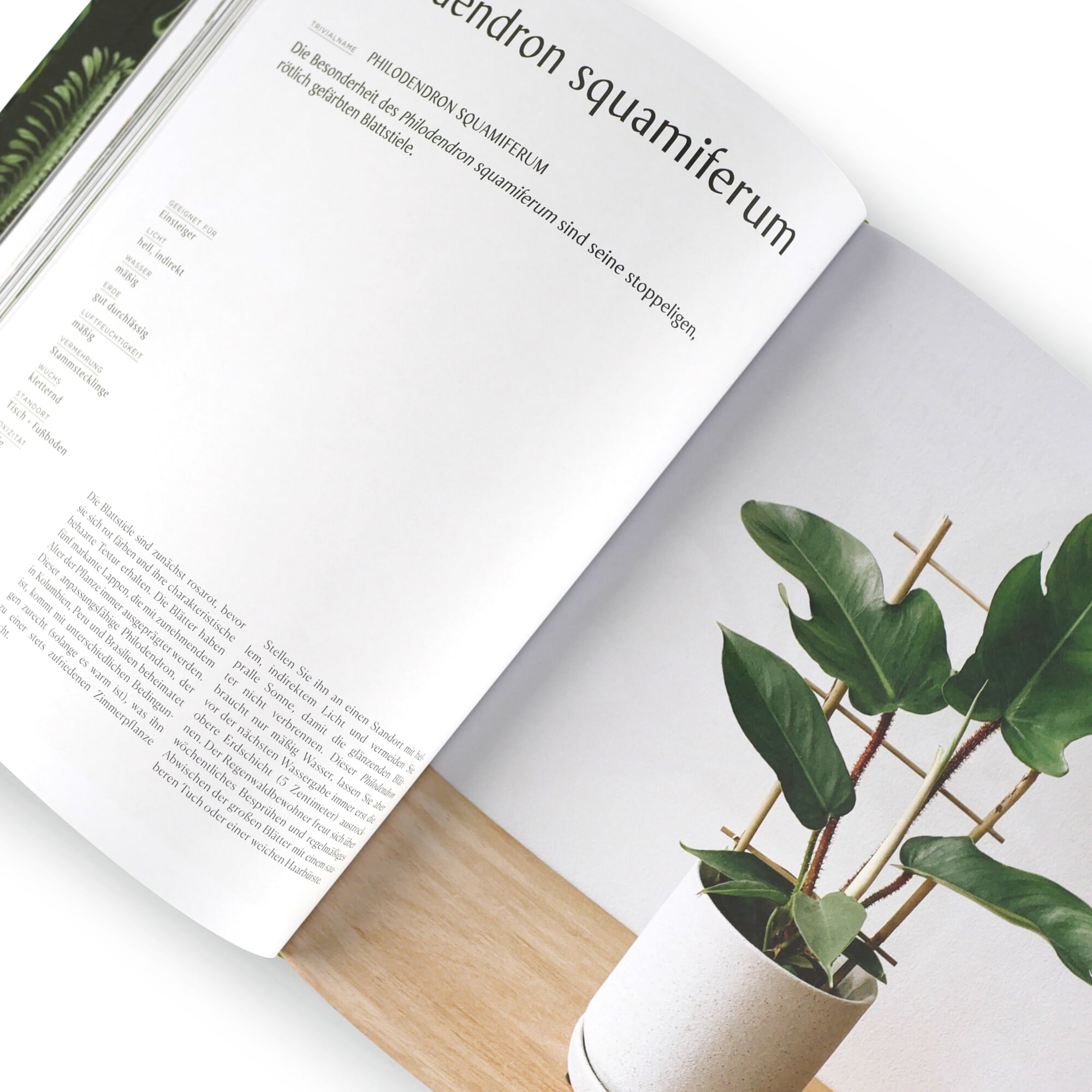Plantopedia | MAGAZIN
