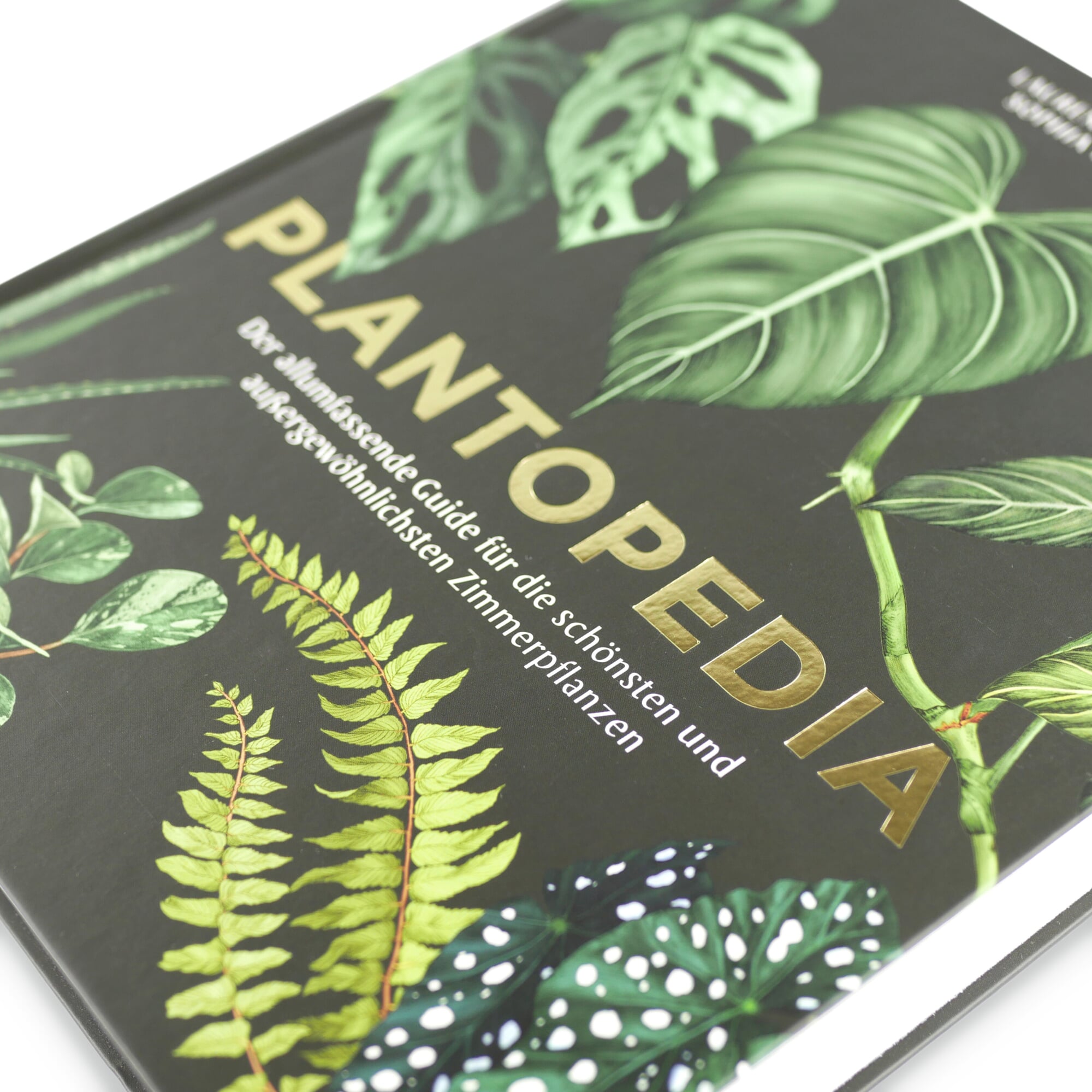 Plantopedia | MAGAZIN