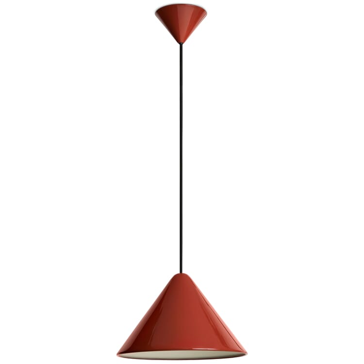 Compass pendant light