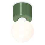 Wall and ceiling lamp Stew Reseda green RAL 6011