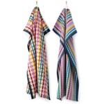 Colorful Checkered Dish Towel
