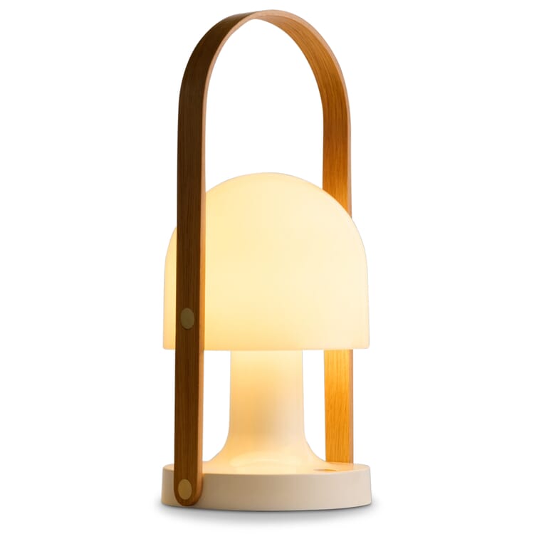 Follow Me 2.0 Universal Light
