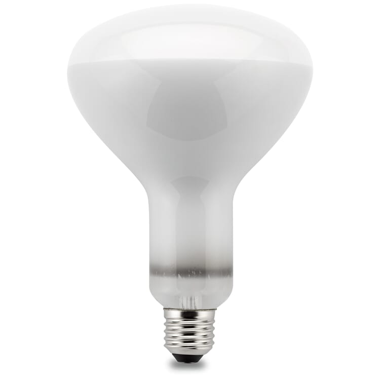 LED-Leuchtmittel zu Pendelleuchte Parentesi