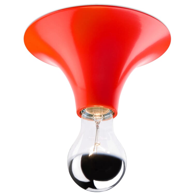 Etna Wall and Ceiling Light
