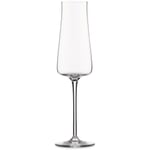 Eugenia Glass Series Champagne glass