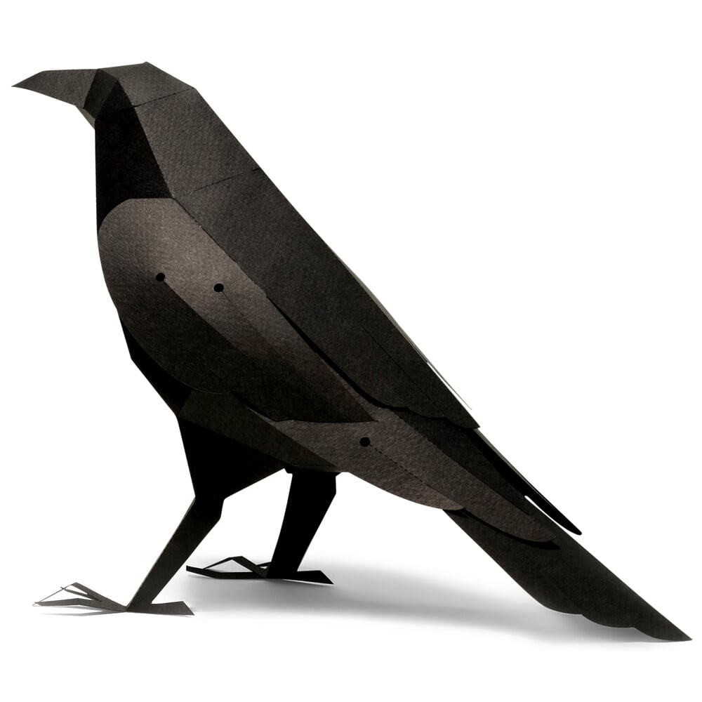 3D Paper Model Birds, Corvus Corax | MAGAZIN