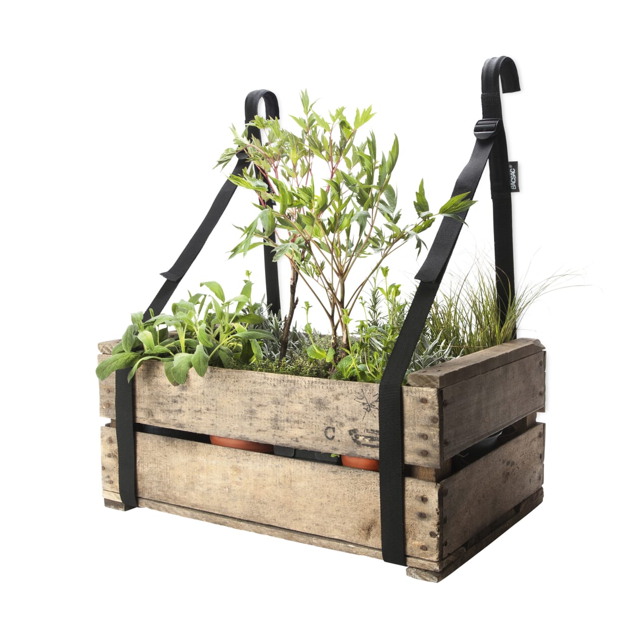 Tragegurt Balkonkiste