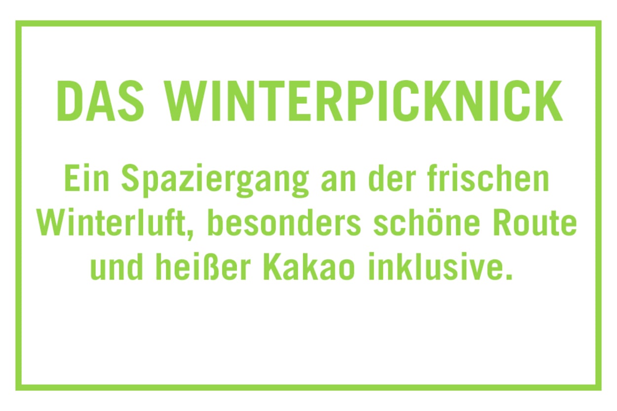 Winterpicknick