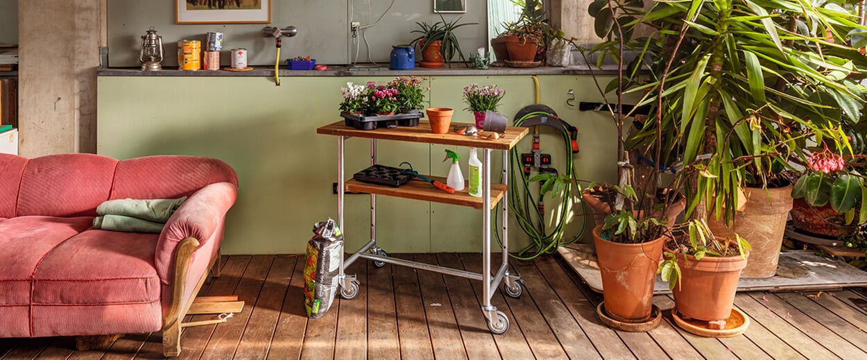 All set to go green: planting now