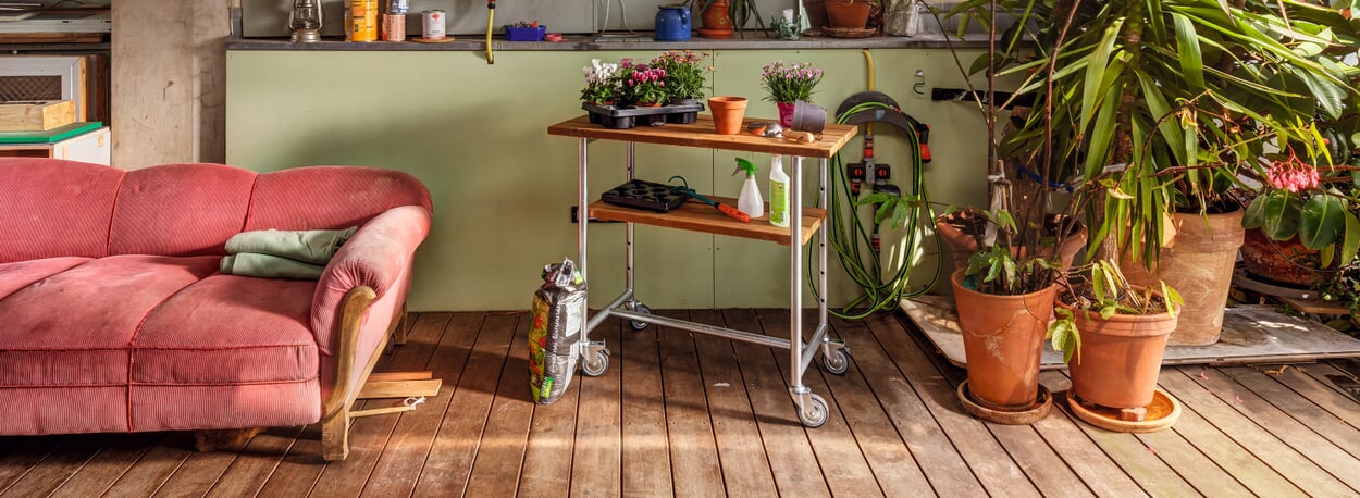 GARTEN, PFLANZEN