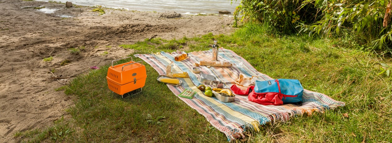Picknick am See