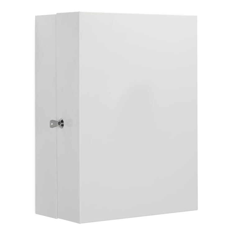Pronto Medicine Cabinet
