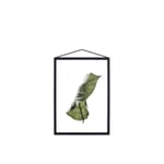 Poster Floating Leaves A4 1 Blatt