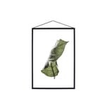 Poster Floating Leaves A3 1 Blatt