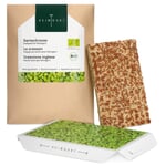 Microgreens-Saatpad Gartenkresse