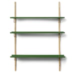 Wall shelf RM3 RAL 6011 Reseda green