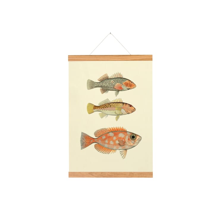 Picture rail oak wood magnetic, Width 30 cm