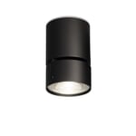 Surface mounted spotlight Wittenberg RAL 9005 Jet black