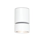 Surface mounted spotlight Wittenberg RAL 9016 Traffic white