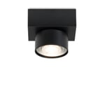 Surface mounted spotlight Wittenberg RAL 9005 Jet black