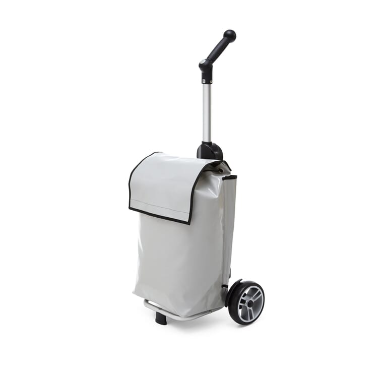 Shopping cart truck