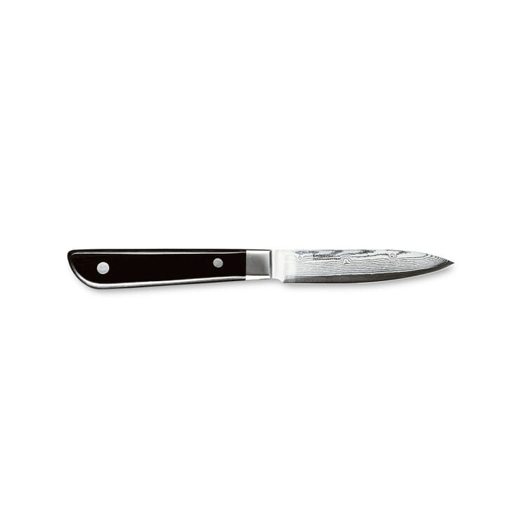Endeavour Paring Knife