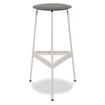 Barhocker Ravioli, groß Sitz: Grau / Gestell: Telegrau 4 RAL 7047