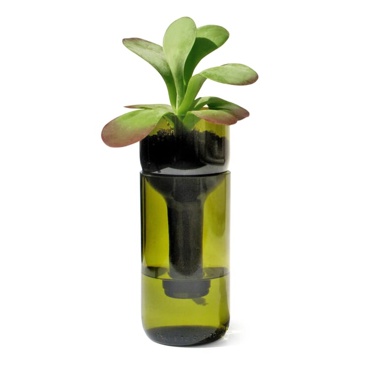 Planter Self Watering Bottle, Green