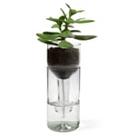 Planter Self Watering Bottle Colorless