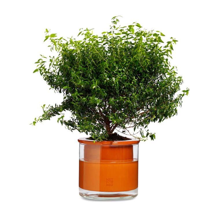Planter Wet Pot Systems, Ø 19 cm
