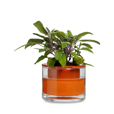 Pflanzgefäß Wet Pot Systems, Ø 12 cm