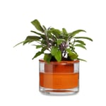 Planter Wet Pot Systems Ø 12 cm