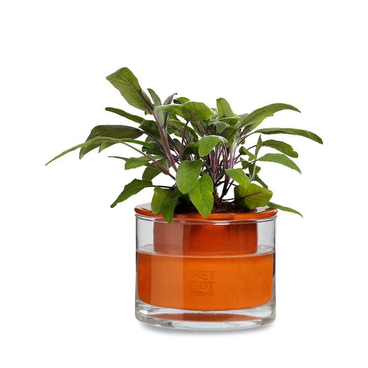 Planter Wet Pot Systems, Ø 12 cm