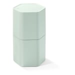 Smartphone box block Pastel green Pantone 9543 c