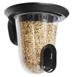 FeedR Bird Feeder