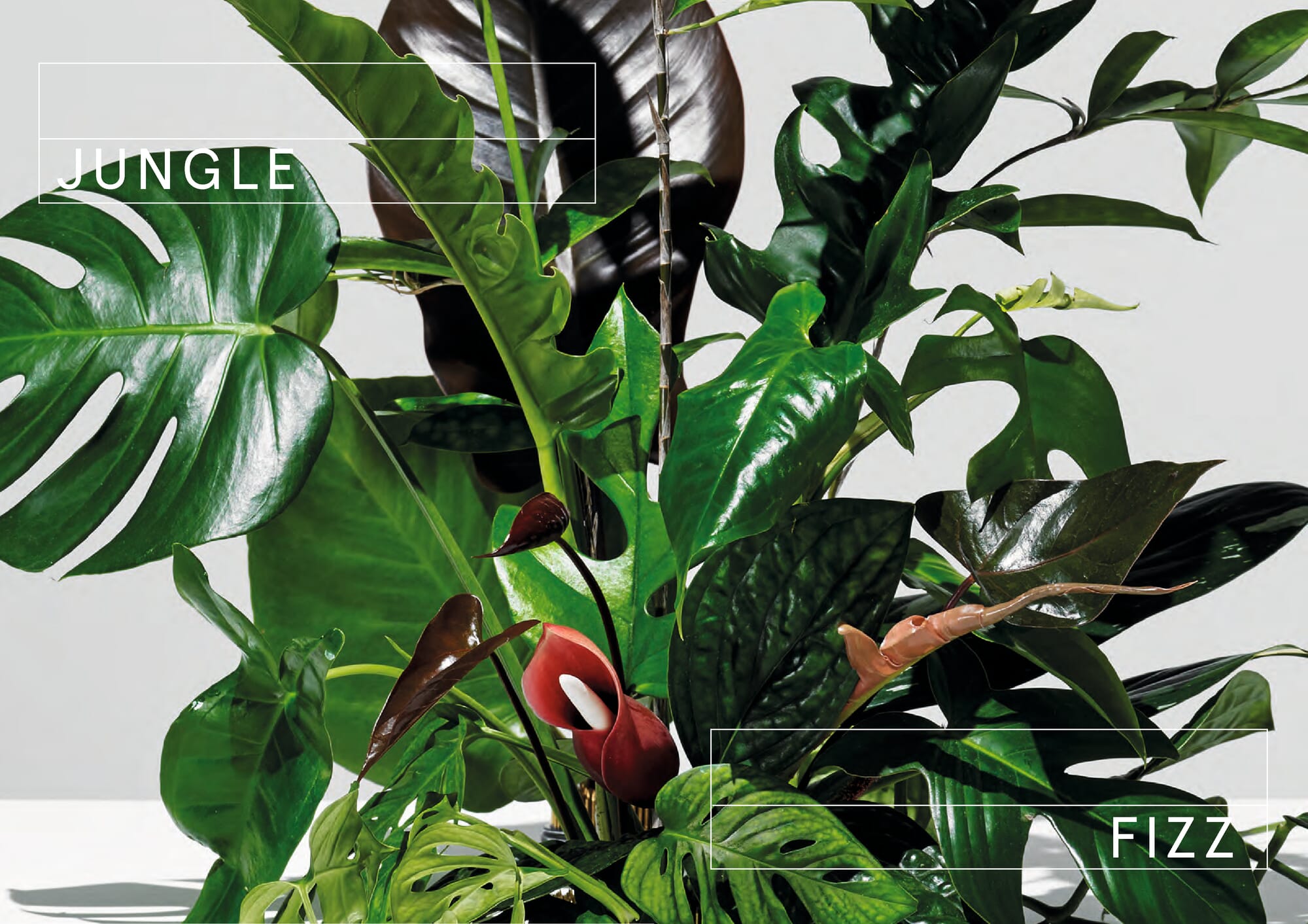 Plants at Work | MAGAZIN