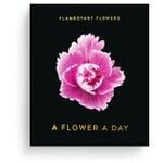Jahreskalender Flamboyant Flowers