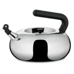 Bulbul kettle