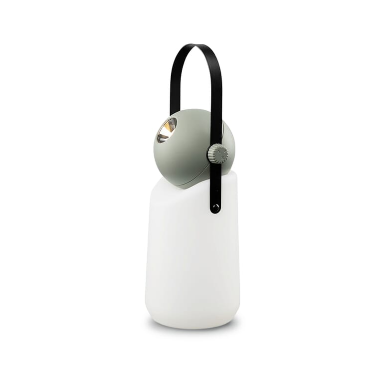 Guidelight universal light