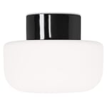 Solenne wall and ceiling light Black