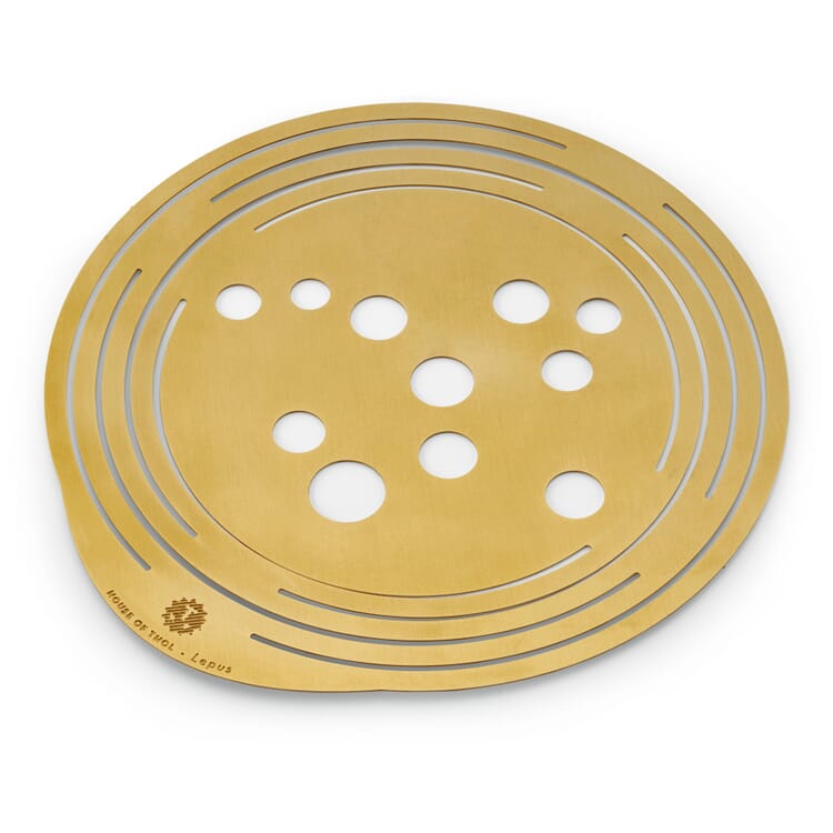 Brass flower disk for vases, Large